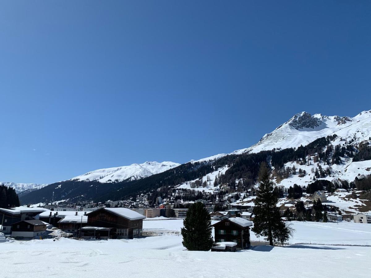 Luxury Panorama Apartment With Alpengold Spa Access Davos Exteriör bild